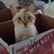 Kelly Malouf Kort's profile image