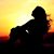 Tabitha Stewart Schenkel's profile image