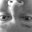 Nathaniel Bauer's profile image