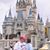 Kristen Peterson Phillips's profile image