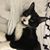Claire Grossman Teagle's profile image
