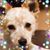 Brenda Werling's profile image
