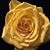 Ruth Gonzalez's profile image