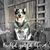 Jen Ortman's profile image