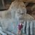 Darrell Larabee's profile image