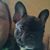 Kathy Butler's profile image