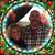 Karla Ormsbee Hickey's profile image