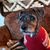 Patricia Ebert's profile image