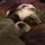 Kat Childress's profile image