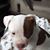 Brian Dalton's profile image