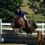 Ruth Orton's profile image