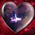 Tracie Schechtman's profile image