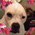 Meindel Sjay's profile image