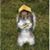 Sally Klein's profile image
