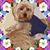 Alondra Raposita's profile image