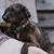 Patti Tipton's profile image