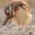Jennifer Hill's profile image