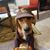 Sean Lydle's profile image
