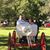 Phyllis Basch Smith's profile image