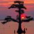 Pinky N Bill's profile image