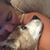 Amanda Sandstrom Kliegl's profile image