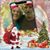 Carol Grove's profile image