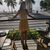 Rebeca Oliver's profile image