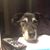 Donna M. Martin's profile image