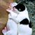 ClarenceandElissa Grendahl's profile image