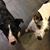 Lori Readd Zets Johnston's profile image