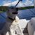 Deanne Schwendler Zwart's profile image
