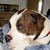 John Elder's profile image