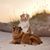 Kate Hill Johnson's profile image