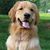Evalynn Wheeler Mills's profile image