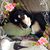 Pam Curtis-Davey's profile image