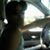 Alain Marrero Fuentes's profile image