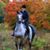 Dotty Murphy's profile image