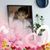 Amr Abo Cina's profile image