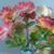 Mukhtar Ahmad's profile image