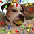 Shari Morris's profile image