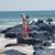 Carolyn Kiesche's profile image