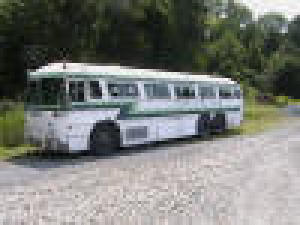 Sweeney153's profile image