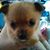Sandra Sutterfield Parris's profile image