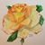 Trish Wallis Stone's profile image