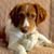 David Inge Kirchmaier's profile image