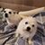 Gerrie Maveety-Witt's profile image