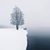 Terri Walton's profile image