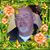 Gary Phillips's profile image