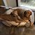 Scott Rosenbloom's profile image