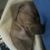 Meritha Arnwine's profile image